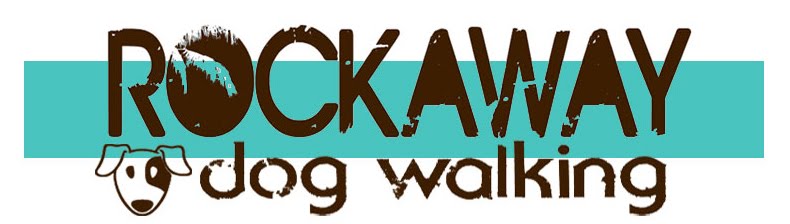 Rockaway Dog Walking