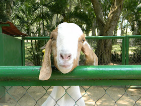 Yumká, Tabasco