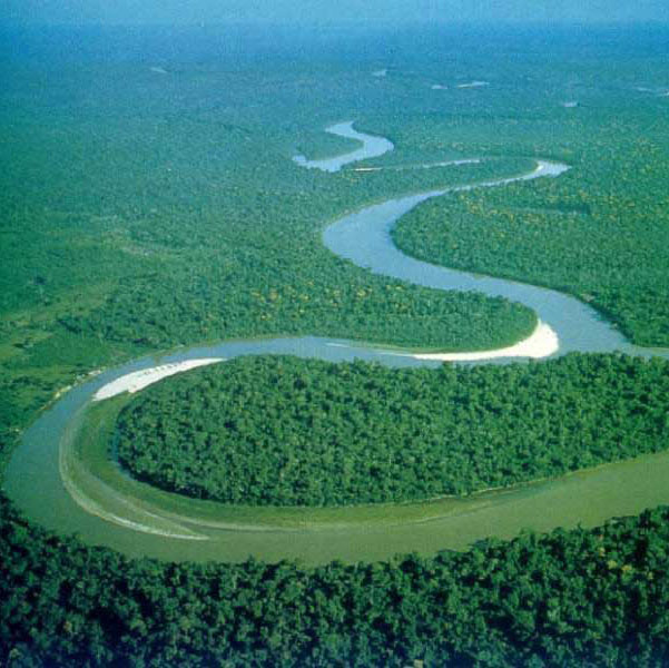 Lista 105+ Foto Dónde Se Encuentra El Río Amazonas Alta Definición