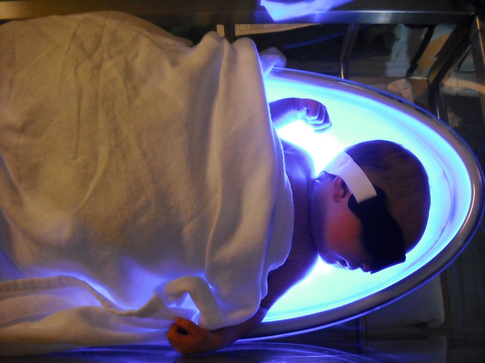 TheDailyBailey The Bili Bed