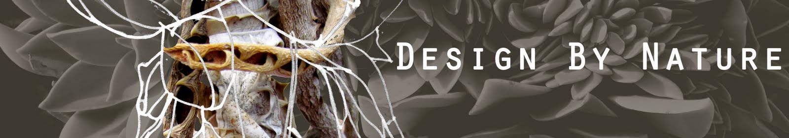 Natural Design inspiration