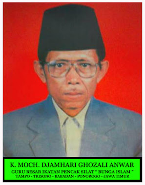 GURU BESAR IPS BUNGA ISLAM