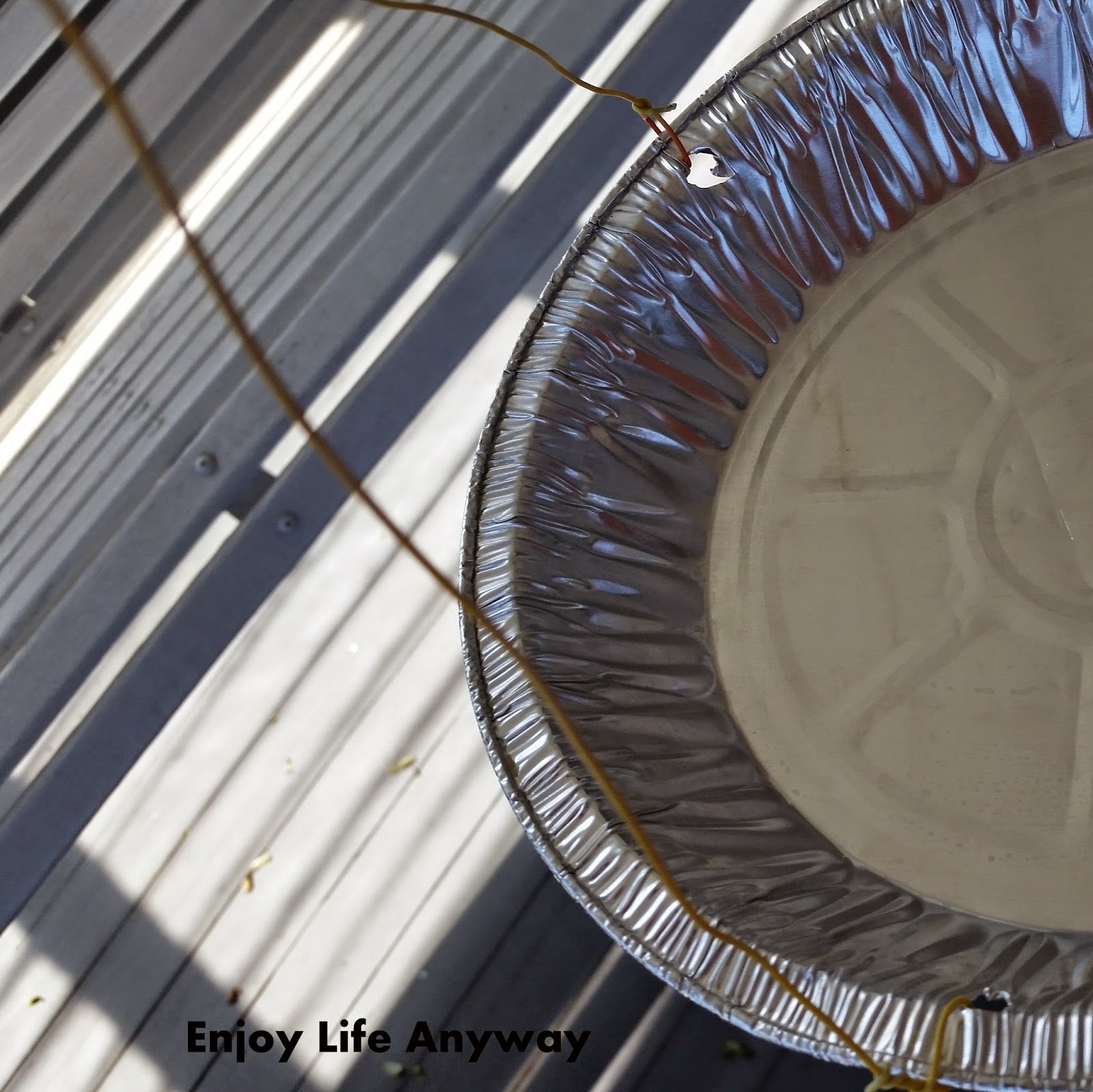 Enjoy Life Anyway DIY Quick Drip Pan for Hanging Plants