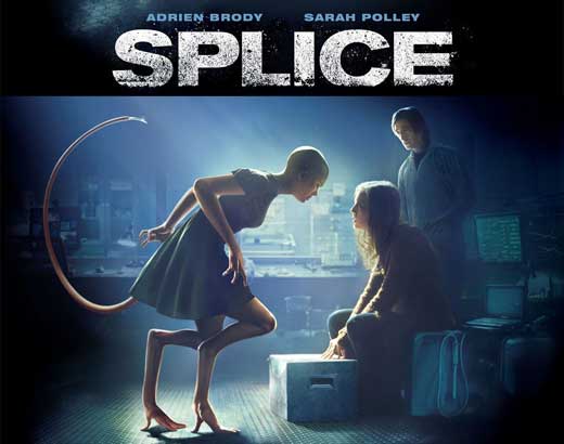 splice 2 movie download splice 2 movie download