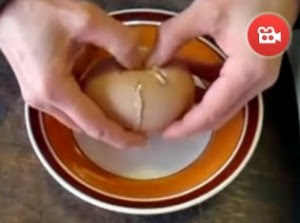 Απίστευτο!!Δείτε τι  βγήκε μέσα από αυτό το  αυγό!! (video)