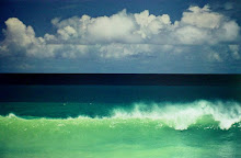 Fotografía de las playas de Tobago