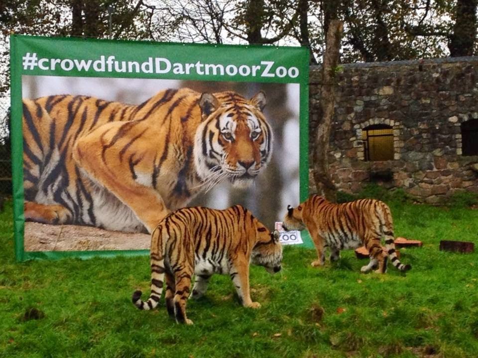 Zoo Watch Worldwide Dartmoor Zoo to Crowdfund £1.6million to Secure