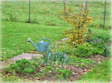 Rencontre jardin et nature fontenay le comte