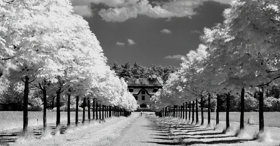 Calendars Printable / Twitter Headers / Facebook Covers