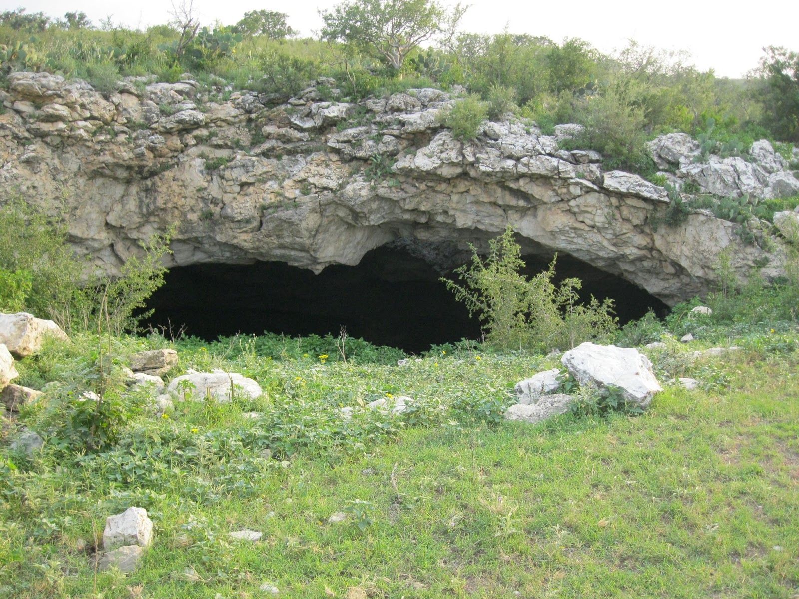 SE Texas Birding & Wildlife Watching Rio Frio Bat Colony