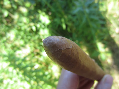 Cigar Cuba chính hiệu!!! Đẳng cấp ông chủ!!!! - 6