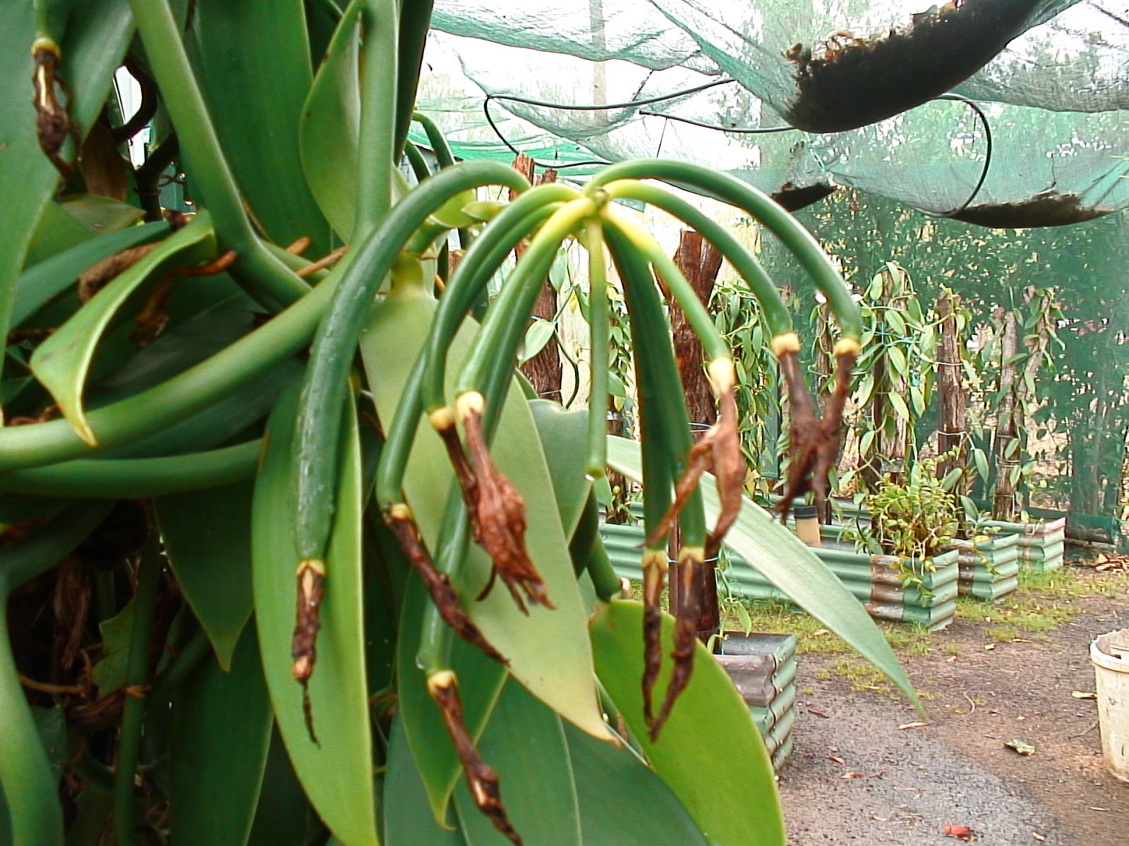 Known to Eat August 2013