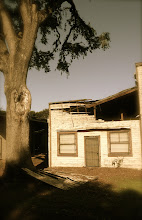 Retired Lumber Yard