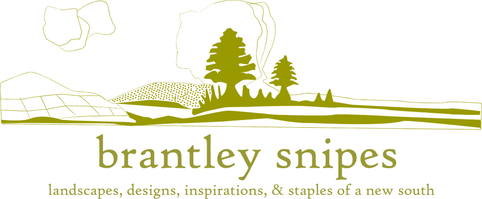 Brantley Snipes Landscape + Design