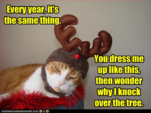 funny-pictures-cat-is-dressed-as-reindeer.jpg
