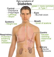 Obat Diabetes Melitus