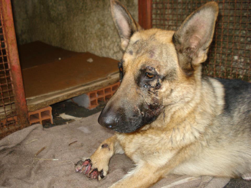 ho paura di incontrare la gente