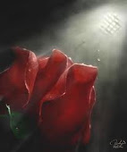 ...A rosa,ícone fundamental do amor...