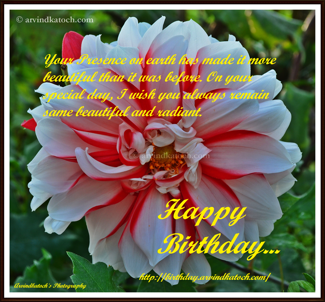 Your presence on earth has made it more beautiful (True HD Pic Birthday