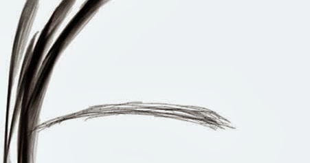 Paintjoy Application Sketches