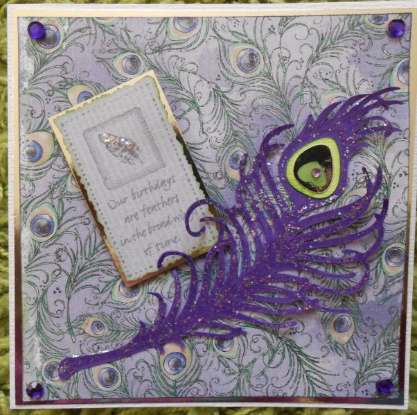 A Moment in Time Birthday Feathers