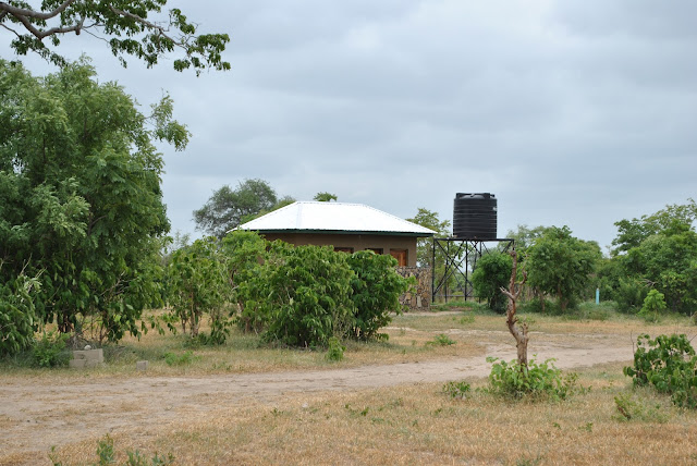 Mikumi National Park, Campsite 1