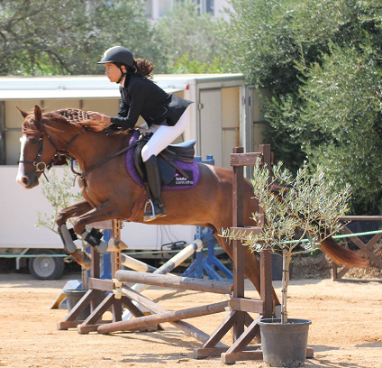 Xadrez Vigoroso: 3 - Últimas apresentações: o Cavalo, o Bispo e o Peão