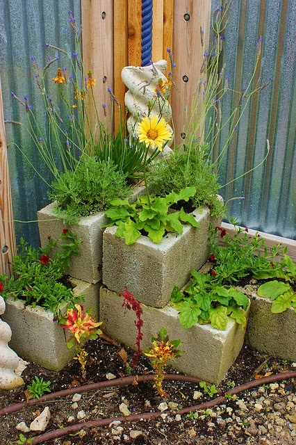 Cinder block planters | Outdoor Areas