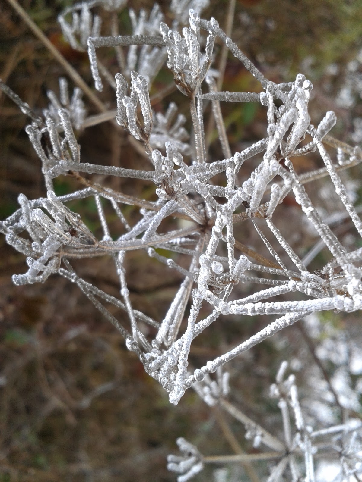 Kybersetzung Ein Blog April 2018