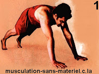 exercice de musculation sans matériel