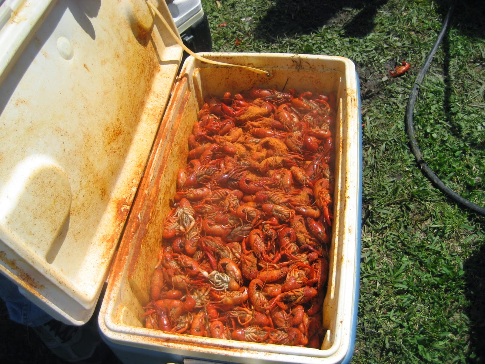 eunice louisiana mardi gras
