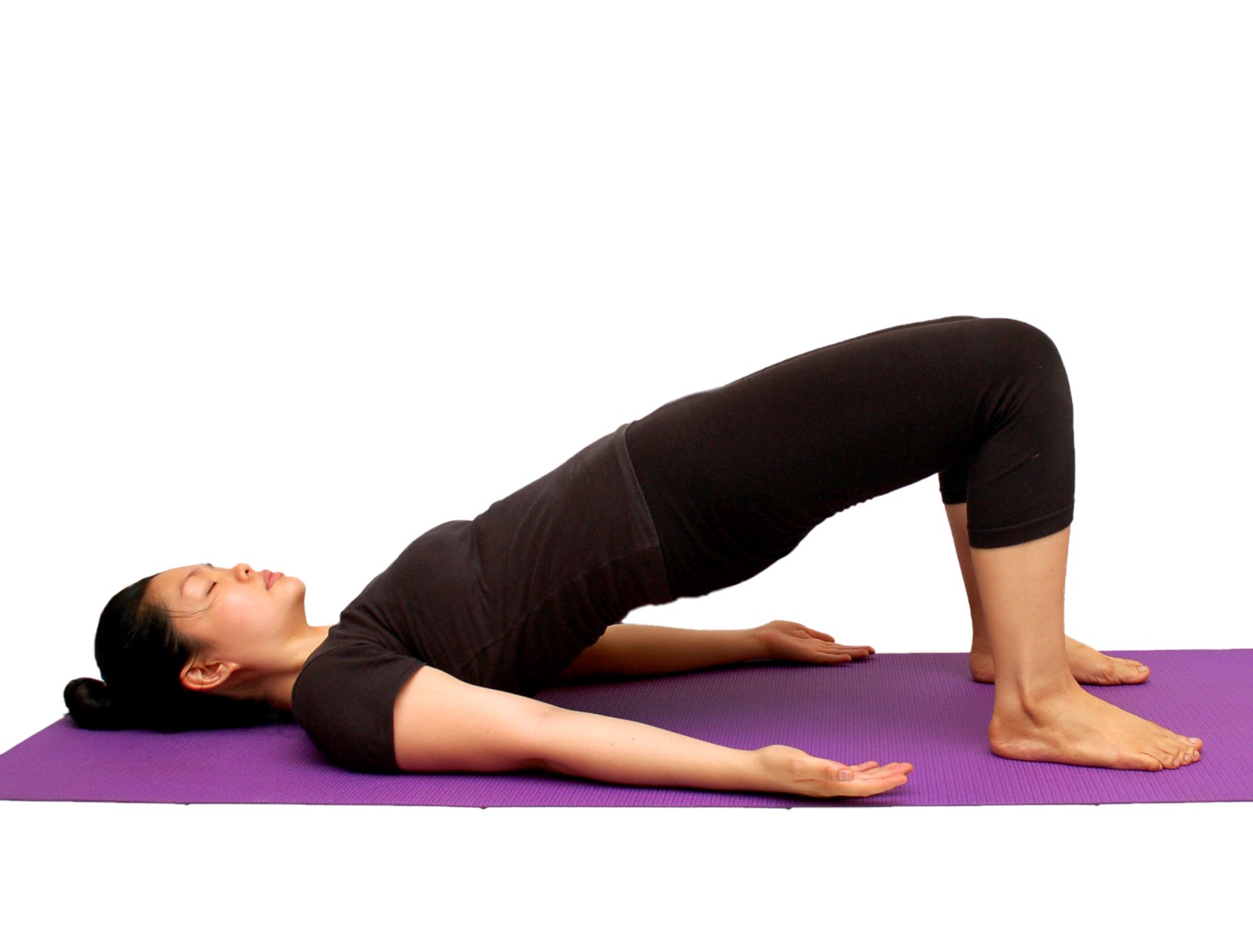 Bridge Garden Picture Bridge Exercise