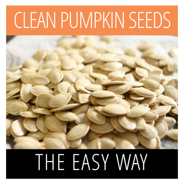 Make It Handmade Clean Pumpkin Seeds The Easy Way