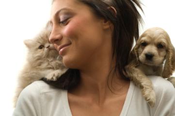 Do Cats Have More Dander Than Dogs Do Cats Have More Dander Than Dogs