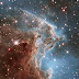 Nebula Kepala Monyet yang Merah Muda