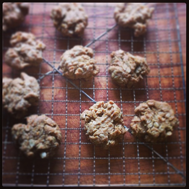 The CastIron Darling Grandmaw's Oatmeal Cookies