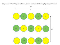 Three Sisters Planting Diagram Three Sisters Planting Diagram