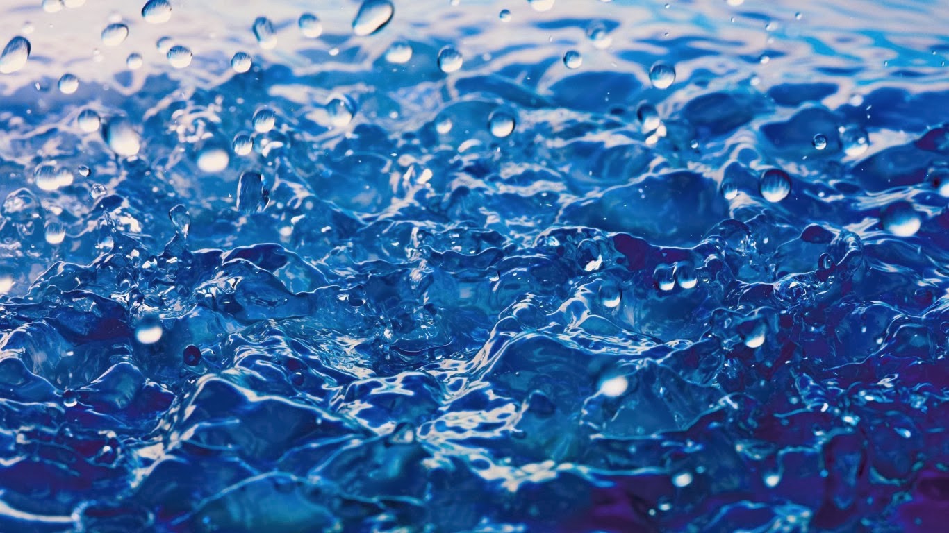 Енциклопедија на животот