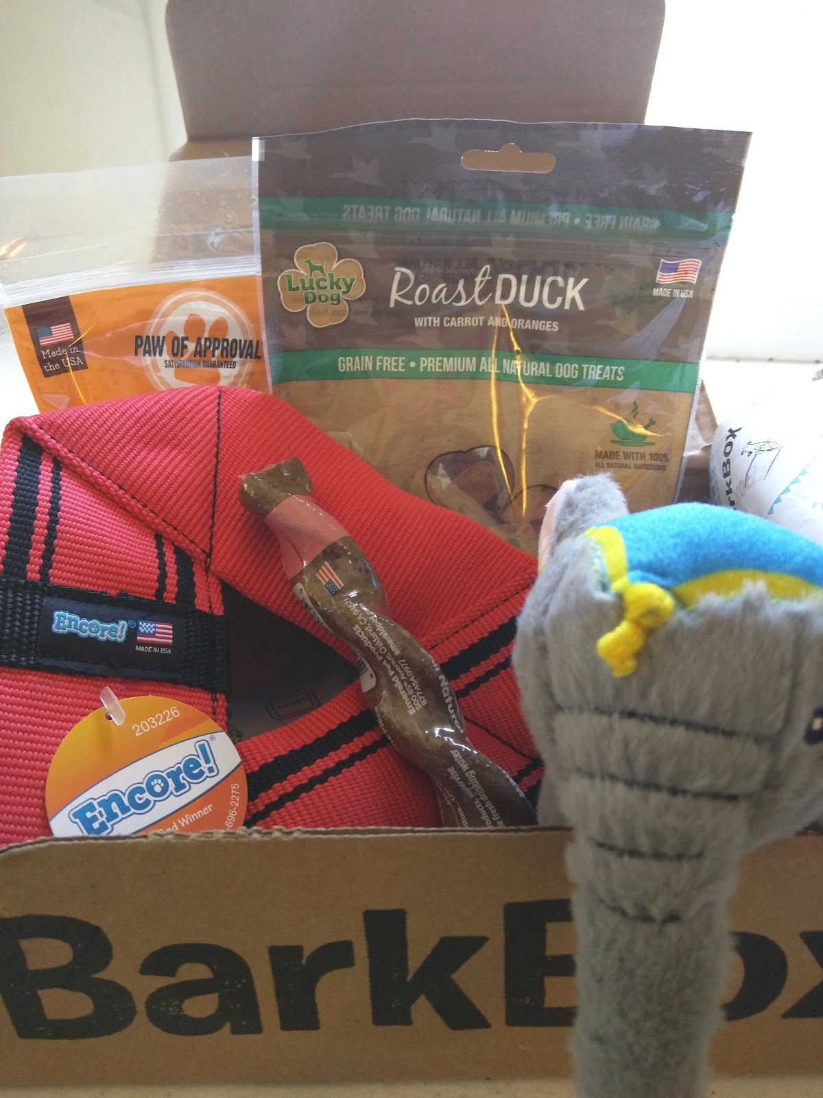 The Dog Geek The July AllergyFriendly BarkBox