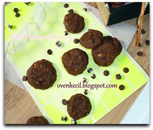 BISKUT COKLAT CHIPS RANGUP (Hanieliza)