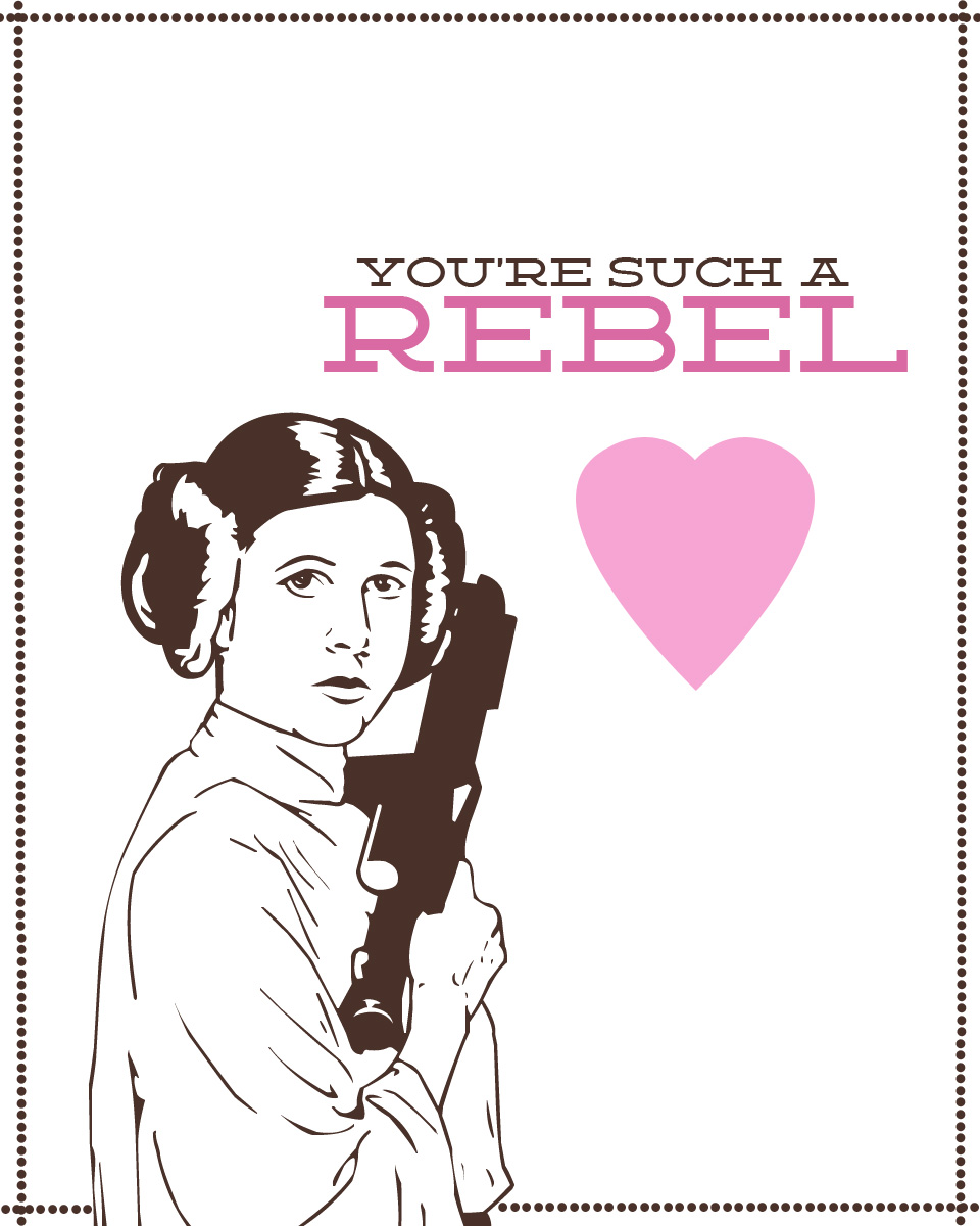 AleciaDawn Photography: Star Wars Valentines