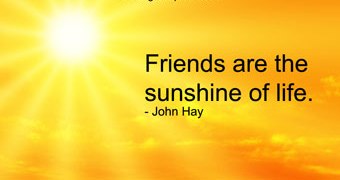 The Best Friendship Quotes | Apihyayan Blog
