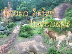 Taman Safari Indonesia