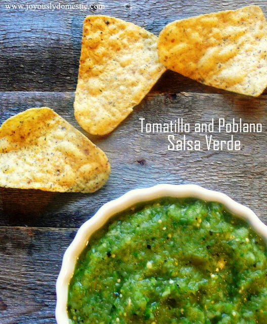 The Bestest Recipes Online Tomatillo and Poblano Salsa Verde