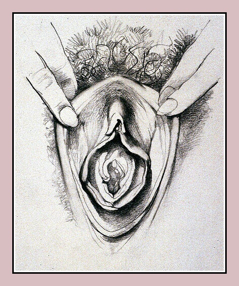 Dodson Betty, Vulva Types Close-ups, around 1980 