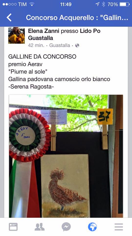 1°premio GALLINE DA CONCORSO