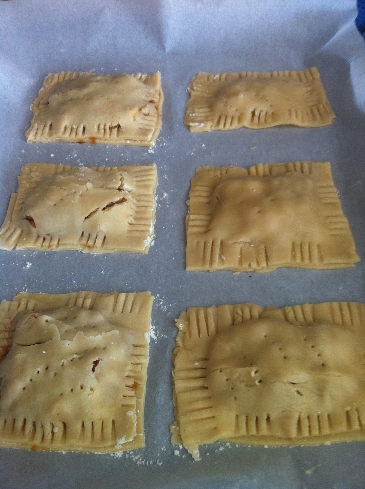 Homemade Apple Toaster Strudel