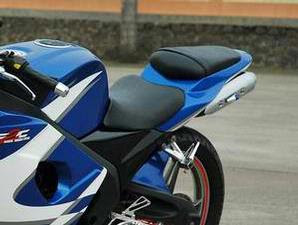 Modified Two Spirit Moge Changing View Suzuki Thunder 250b.jpg