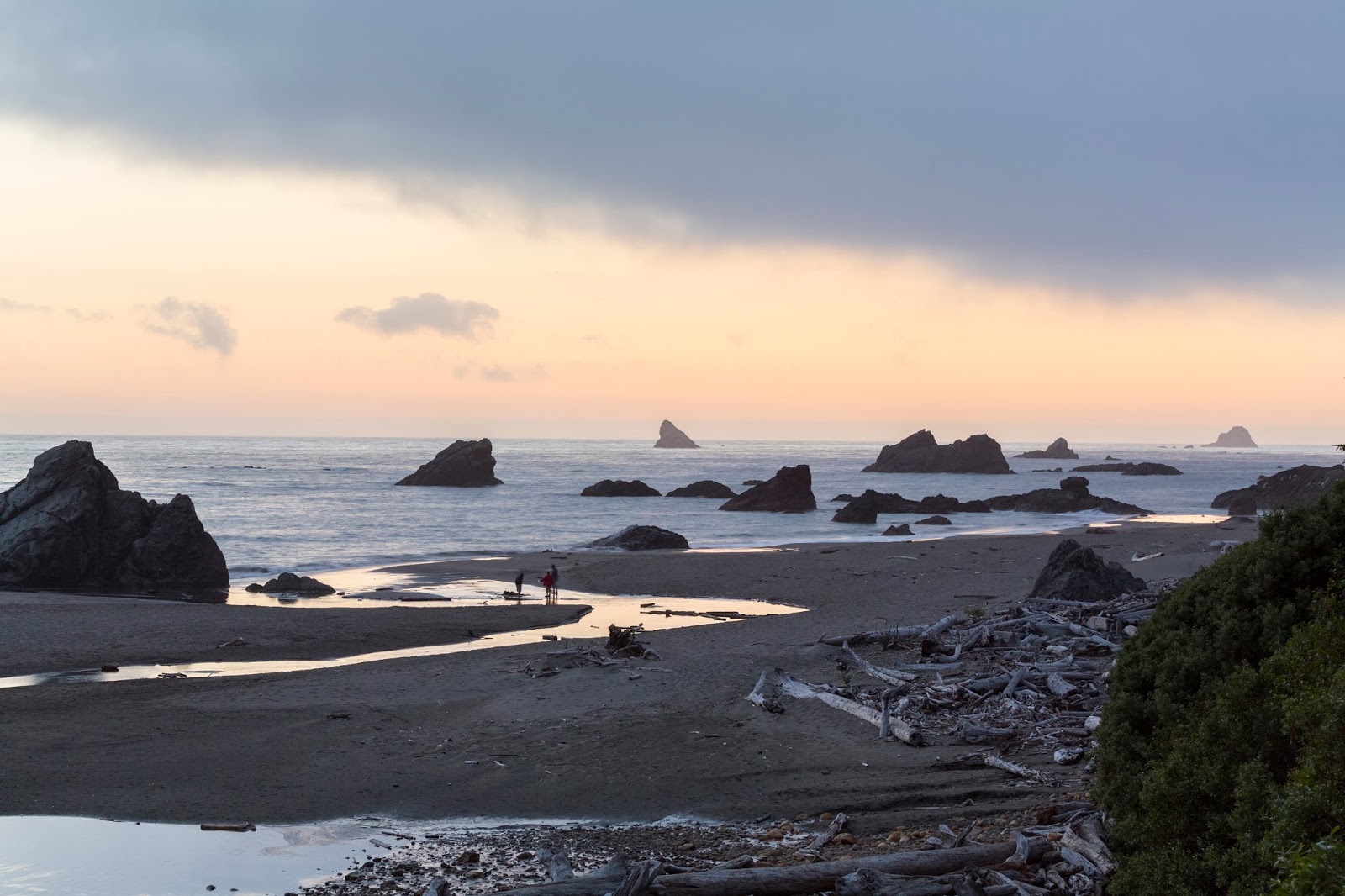Naturetastic Blog Brookings, Gold Beach Oregon Coast