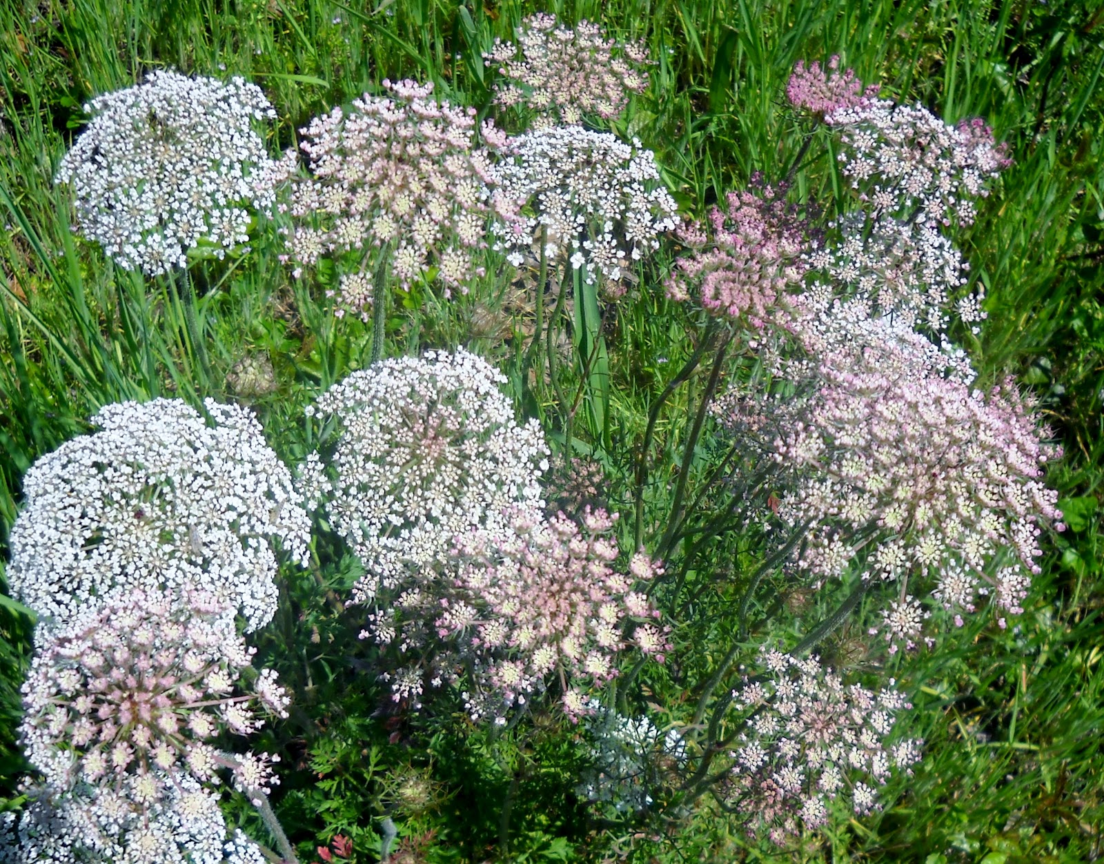 best hookup spots in Dallas